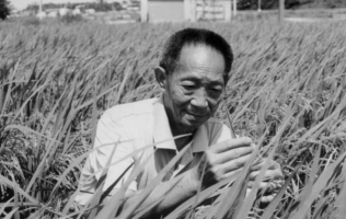 緬懷！國(guó)之脊梁